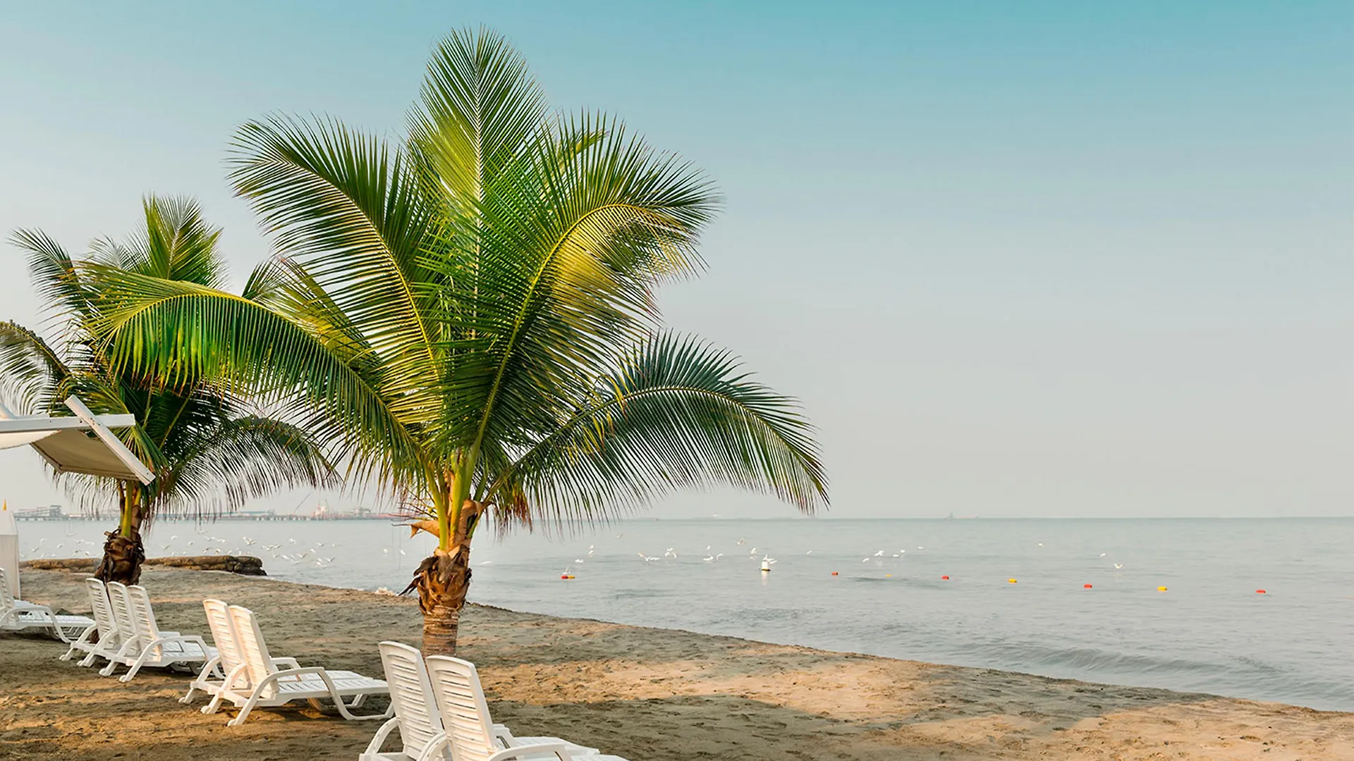 Resort Decameron Galeon Santa Marta